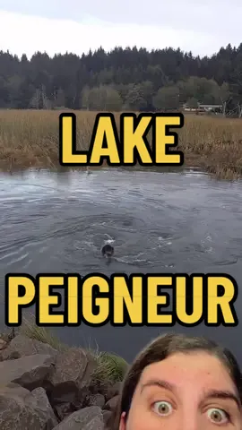 Replying to @Hailey🖤 Spin me right round baby - Lake Peigneur 🌪️#spookylakemonth #spookylake #louisiana #greenscreen #greenscreenvideo 