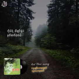 #စိုင်းထီးဆိုင်  #နေရစ်တော့ကွယ်သွားတော့မယ်  #Fyp #Tiktokmyanmarsong #Tiktokforyou #tiktokmusic #Musical #lyrics #Spotify #Fellingmusic #Mistakehunter #Thankyousomuch 