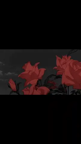 #ninobravo #unbesoyunaflor #paradedicar #estado 