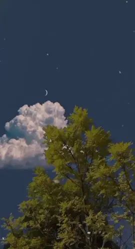 Eres Lo Más Bello🗣️🎶 #losbetos #betoszabaleta #ereslomasbello #vallenato #vallenatocortos #vallenatosdeoro #videosparaestadodewhatsapp #parati #viral #fypシ 