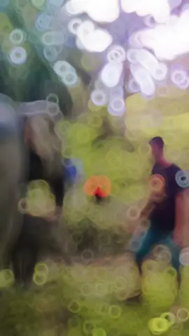 #CAR anak Alue kuyun Woyla Timur Meulaboh Aceh barat 