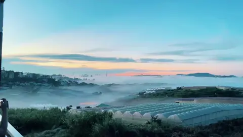 Đà Lạt sáng nay ❤️#xuhuong #xh #dalat #sanmay 