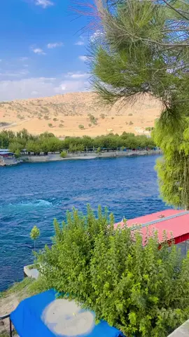 ##CapCut  #دوكان_سليمانيه 