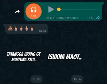 aku gabisa sama WARIA 🗿 #vnwhatsapp #soundviral #voicenote #chatwhatsapp #fyp 