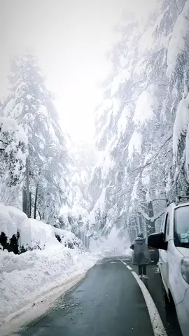 #cheriaa_blida⛄🌨️ #شريعة❄😍 #blida #البليدة #راحة_نفسية #relax #الثلوج #nature #الطبيعة #اكسبلور #fypシ゚viral #الشعب_الصيني_ماله_حل😂😂 #algeria #🇩🇿 #الجزائر #🇩🇿 #foryou #fypシ #explore #قارة_الجزائر #edit #capcut 