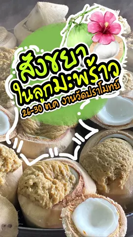 😋สังขยามะพร้าวอ่อน วัดปราโมทย์  1 ปี มีแค่ครั้งเดียว 😋 ของอร่อยที่ไม่อยากให้ทุกคนพลาด  จัดวันที่ 26-30 ตุลาคมนี้เท่านั้น  #วัดปราโมทย์ #สังขยามะพร้าวอ่อน #สังขยา #ปักหมุดร้านอร่อย📍 #tiktokพากิน #พากินของอร่อย #ราชบุรี #สมุทรสาคร #สายหวาน #งานวัด #ชี้เป้าของอร่อย #หลวงพ่อโตวัดปราโมทย์ #มะพร้าว 