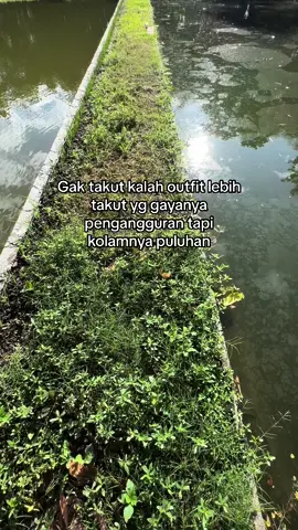 #fyp #usaha #xyzbca #pengusahamuda #peternaksukses #peternakmuda #petanikoi #peternakmilenial #budidayakoi #ikankoi #koilovers #petanisukses #peternakan #ternak #juragankoi #kolamkoi #foryou #kediri24jam 