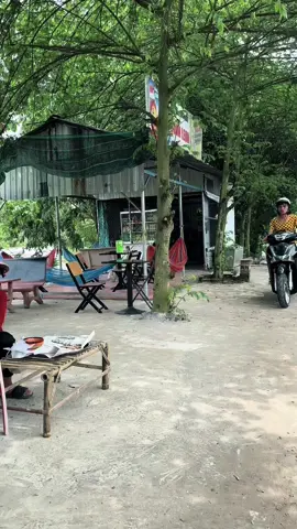 Chuối nướng #tuncuibap2 #windnet #vietdrama 