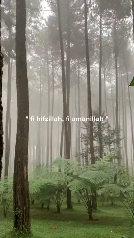 #fyp#fypシ゚viral #fypage #storytime #islamreminder  #islamic_video #islamic #pemudahijrah #quotesislam #xzycba #reminderislamic✨ #remajahijrah #pejuanghijrah_istiqomah #muhsabahdiri #viral#bismilah #beranda 