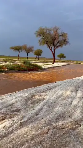 احسبني قد نسيته وقلبي مستريح #اكسبلوررمتابعه_ولايك_واكسبلور_ 