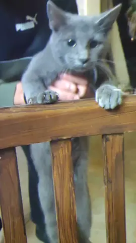 #allenamento #Fitness #workout #palestra #training #sport #gym #personaltrainer #bodybuilding #benessere #fit #fitnessmotivation #motivation #salute #muscoli #dieta #motivazione #allenamentofunzionale #dimagrire #fitnessitalia #nutrizione #palestratime #addominali #italia #wellness #allenamentoacasa #GymLife #alimentazione #muscle #alimentazionesana 