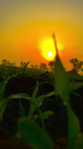 kitni aziyat ha ic khyal main.. #poetry #sad #foru 💭