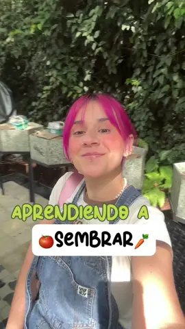 🥕Quieren que les enseñe lo que aprendí es este curso para hacer mi huertito? 🍅#huertourbano #huertoencasa 