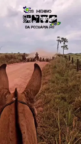 Rauwww apito e grito boiadeiro vei 🔥🤠🎶 . SEGUEM NOSSOS PARCEIROS 🇧🇷 🫡  _@Comitiva_sem_limites_MT  _@modão_caipira  _@Oz_caça_frevoo  _@Sïstëmä_brütö_Rondonia🇧🇷  . ENTREM EM NSS GRUPO DO WHATSAPP,  LINK NA BIO 🤠 🔥  . . #fypシ #foryou #fyp #videosparastatus #os_menino_da_pecuaria_mt #modao #boiadeiro #pecuariabrasil🇧🇷🐂🐂🐂🐂 #modadeviola #vidasertaneja 