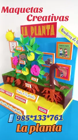 # la planta y sus partes #ciclo de vida de las plantas # beneficios de la planta # maquetas Creativas Mary 💖💖 # villa el Salvador 📞985 133 761