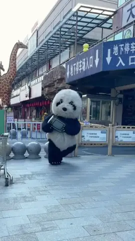 gấu đã trở lại và ...😁😁 #xuhuong #xuhuongtiktok #funny #trending #cute #haihuoc #xuhuong2023 