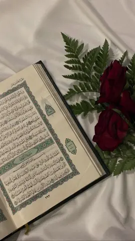 اللَّهُمَّ صَلِّ وَسَلِّم عَلَى نَبِيِّنَا مُحَمَّدﷺ✨. #يوم_الجمعه #اللهم_صلي_على_نبينا_محمد #جمعة_مباركة #ان_الله_وملائكته_يصلون_على_النبي_ #ماهرالمعيقلي #سورة_الاحزاب #سورة_الكهف #foryoupage #fypシ゚viral 