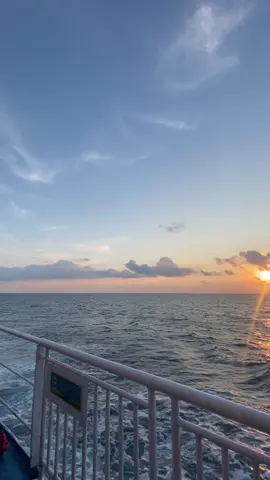 Perjalanan dari laut jawa-kalimantan, mata dimanjakan oleh pemandangan dari atas kapal😍 #surabaya #fyp #fypシ゚viral #dharmalautanutama #sampit #kalimantan #kalimantantenggah #jawatimur 