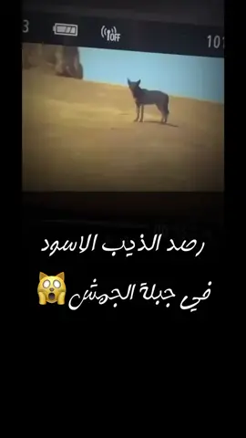 #اكسبلور #ذيب #الجمش_الدوادمي 