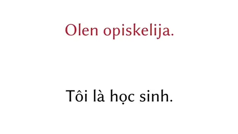CÁCH NÓI TÔI LÀ HỌC SINH TRONG TIẾNG PHẦN #finnishtiktok #tiengphanlan #phanlan #finnishwithlisa 