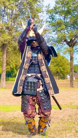 Samurai training  #samurai#サムライ#侍#samuraiarmor 
