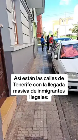 Así están las calles de Tenerife con la llegada masiva de inmigrantes ilegales: #inmigrantes #tenerife #inmigrantesilegal #españa #pedrosanchez #yolandadiaz #psoe 