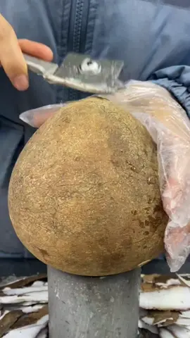 OMG 1 minute 😱 !! #asmr #fruits #fruit #usa #fyp #fypシ