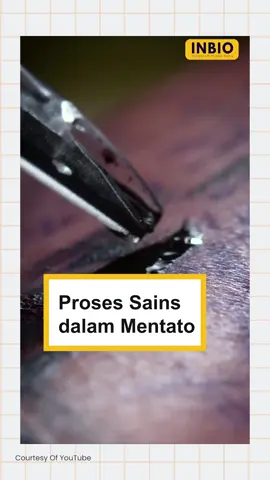 Proses Sains saat Mentato