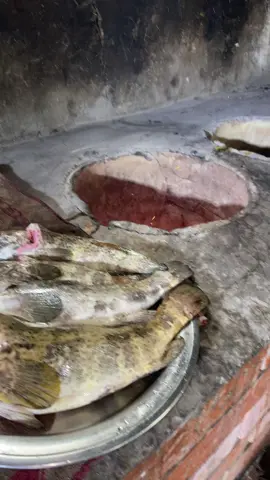 مطعم اهل زمان #جيزان #بيش #العزمة #اكسبلور 