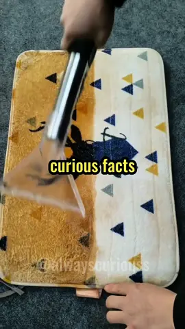 Curious facts you didn’t know 😰😱 #curiosity #facts #satisfying #LearnOnTikTok #satisfyingvideo #randomfacts #satisfyingvideos 