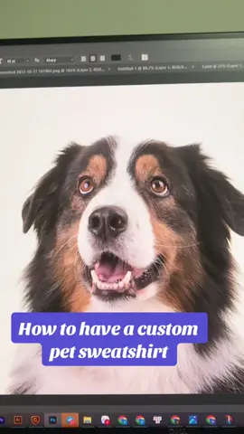 Custom pet embroidered sweatshirt 🐶   #pet #dog #cat #dogsweatshirt #customsweatshirt #embroideredsweatshirt #catsweatshirt #petsweatshirt #petshirt #foryou #viral #custompetportrait 