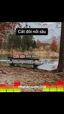Cắt đôi nổi sầu#karaoketiktok #catdoinoisau#NhạcAcoutisChill #guitarra 