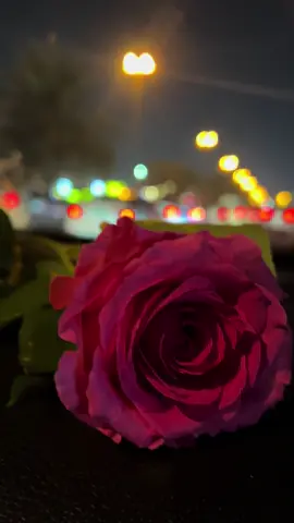 #رواق #سيارتي #مشاويري #عجمان #الامارات_العربية_المتحده🇦🇪 #الشارقة #لامهتم_ولا_عل_بال 