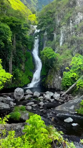 Air terjun ini vibe alamnya bikin tarik napas terus‼️😮‍💨 Airnya segar banget, bebatuannya keren buat foto-foto, dan hutan yang berasa kaya petualangan deh🫶🏻 Tempat ini bener-bener bikin kita ngerasa kayak berasa deket sama alam🌲 Bawa banyak temen buat bikin momen seru, ya! Jangan lupa banyakin foto buat stok konten… Xixixi🤣 📍: Air Terjun Siringo Silalahi Sabungan, Kab. Dairi, Sumatra Utara 📷: @thomasgintingsoeka #AirTerjunSiringoSilalahiSabungan #SumatraUtara #DiIndonesiaAja  #WonderfulIndonesia 