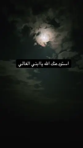 #استودعتكم_الله_الذي_لاتضيع_ودائعه_ #يحفظكم الله#موفقين_بعد_عيني #explore #اكسبلور 