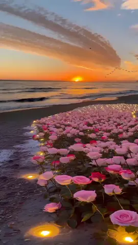 #fyp_tiktok #video_ #parati_ #fyp_tiktok #fyp_viral #edits_de_todo #video_lyrics8 #edits_ #hermosospaisajes #musica_y_algo_mas #video_viral_tiktok #edits_de_todo #estados_para_whatsapp1 #paisajes❤️ #bonitos #❤️🎶 