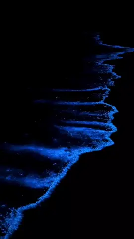 Strand Neon Blau 4K live wallpaper #4kwallpaper #livewallpaper #wallpaper #dunkel #strand #wasser #meer @X- Wallpaper -X @X- Wallpaper -X @X- Wallpaper -X 