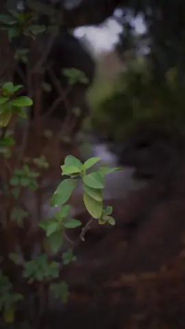 #دعاء #دعاء_جميل #دعاء_يريح_القلوب_ويطمئن_النفوس #اكسبلورexplore #ترند_تيك_توك #اكسبلورر #أبو_سالم_الصميدي 