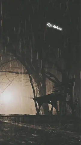 #foryou #explore #foryoupage #fypシ #fyp #viral #مشاهدات #كتاباتي_للعقول_الراقية_فقط @فضاء الهمسات❤ #قديمك_نديمك_ذكريات🌹🌹 