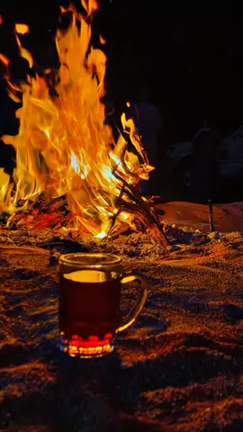 #كشتات_الشتاء_البر #تصويري📸 