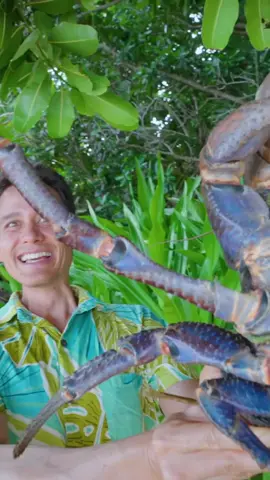 Huge Coconut Crab UNLIKE Any Other Crab on Earth South Pacific Islands 💕 PART 1 ✓ #Mark  #Wiens  #reviewfood  #FoodReview  #eat  #food  #cooking  #foodtiktok  #foodvlog  #eating #Huge #Coconut #Crab #UNLIKE #Earth #South #Pacific #Islands