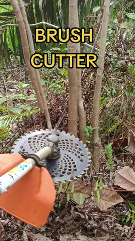 BRUSCHUTER #grasscutter  #kebunsawit  #Mesinrumput #kebunsawit  #brushcutter 