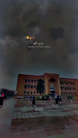 Naam tumhara likha🫀🥀#foryou #shimcheong #unfreezemyacount #fypシ #viral #softwareengineer #islamabad  #iiui #terigalliyan #freepalestine🇵🇸❤️ #free_palestine #westandwithpalestine 