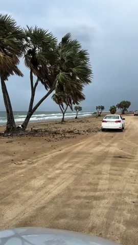 #سعيدة_الصوالحة #شاطي_الصوالحه_منطقة_عسير 