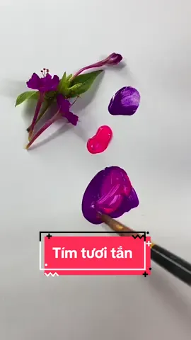Tím tươi tắn #phamau #phoimau #colormixing #colors #mau #ve #totuong 