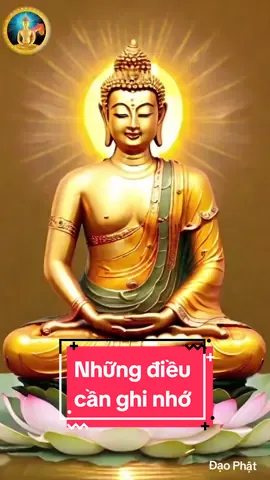 7 ĐIỀU NGƯỜI CON PHẬT CẦN GHI NHỚ  #loiphatday #đạophật #phatphapnhiemmau #ducphattrongtoi 