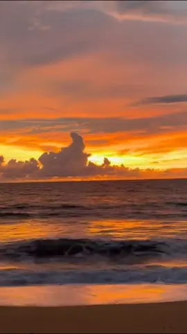 🌏 Mai Khao Beach 🇹🇭  🌴🤿🐠🐒🐬 🚤🏝 🌈  ✈Phuket ⛱⚓🐳🚤🛳🐠🐬🦞🦀 Mai Khao Beach is one of the first beaches coming from the main land, and it is at the very north of Phuket, and the beach itself is about 11km of mostly untouched land, it's a part of the Sirinath National Park, the most famous resort here would be JW Marriot Phuket Resort. The Phuket International Airport is also located near the beach.  This beach is excellent for sunbathing. The beach is quite secluded, and you will have no problem to find your very own private location for a swim, even so there is a few attractions here you could visit, Turtle Village Shopping Mall, Wat Mai Khao, Splash Jungle Water Park, Sirinath National Park. You can also enjoy Thai Massage at one of the resorts, as well as a Spa treatment. If you have kids Splash Jungle Water Park is probably a must when visiting Phuket, it'll give you a day with water fun activities to remember. Entrance fee is around 1,495 Bath per adult, and 750 per child, you might find it's being promoted at Tesco Lotus or Central Festival in Phuket Town, Jungceylon in Patong Beach, or any other of the department stores, shopping malls around the island. #MaiKhao #Beach #phuket #thailandtrip  #thailand #krabi #phuketisland #thailandtravel #amazingthailand #thai #patong #patongbeach #katabeach #karonbeach #rawaibeach #phiphi #phiphiisland #snorkeling #mayabeach #bangkok   #andamansea #travel #travelphotography #thailandia #thailande #Tailândia #traveltheworld #photography #adventure #traveling  #เที่ยวทั่วไทย 🇹🇭 #Phuket #Island #Unseen #Amazing  #Koh #wonderful  #Tourist #Attraction #Beach #Beautiful #Sea #ISand #Sun  #Andaman #Southern  #Thai #Thailand #🇹🇭 📍🌴🌴😎🇹🇭👍🎶🌴☀️⛱ ✌Bienvenue en Thailande 🇹🇭      タイへようこそ      태국에 오신 것을 환영합니다  🤟✌💚🖐✊🎶🎵 #Thailande #Bienvenue  #ようこそ #タイ #태국 #환영합니다 #어서 오세요 ~༺✿*¨`*•.¸♡¸.•~✈ 🧸#краб~💚 ✌パウﾁｬン～🖐 🎸뿌장~🤟✈#Пуу~🎧🎼🎵🎶🛩 #TikTokUni  @✈️краб~♡パウﾁｬン～뿌장🎧🎵🎶🎼🎸🇹🇭 @✈️краб~♡パウﾁｬン～뿌장🎧🎵🎶🎼🎸🇹🇭 @✈️краб~♡パウﾁｬン～뿌장🎧🎵🎶🎼🎸🇹🇭 