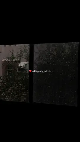 #نزار_قباني #explore #mkh #fyp #4u 