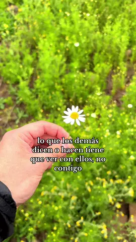 Lo que los demás dicen o hacen tiene que ver con ellos, no contigo 🤝🏻 #nadapersonal #losdemasquecritiquen #tiktokreflexión #lieconsejos #estarenpaz #crecimientopersonal #equilibrioemocional #chiletiktok 