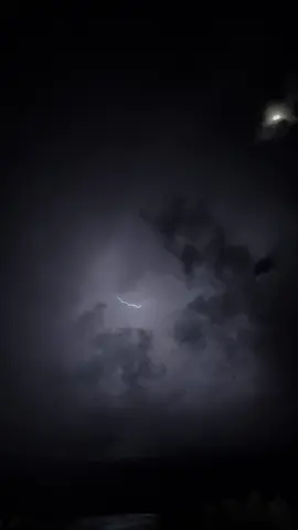 في نون عيني بارق الوسم لايح#fyp #foryou #foryoupage #viral #اكسبلور #خلف_بن_هذال #محمد_بن_فطيس 